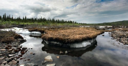 Des « virus zombie » congelés dans le permafrost depuis 48 000 ans ont été ramenés à la vie