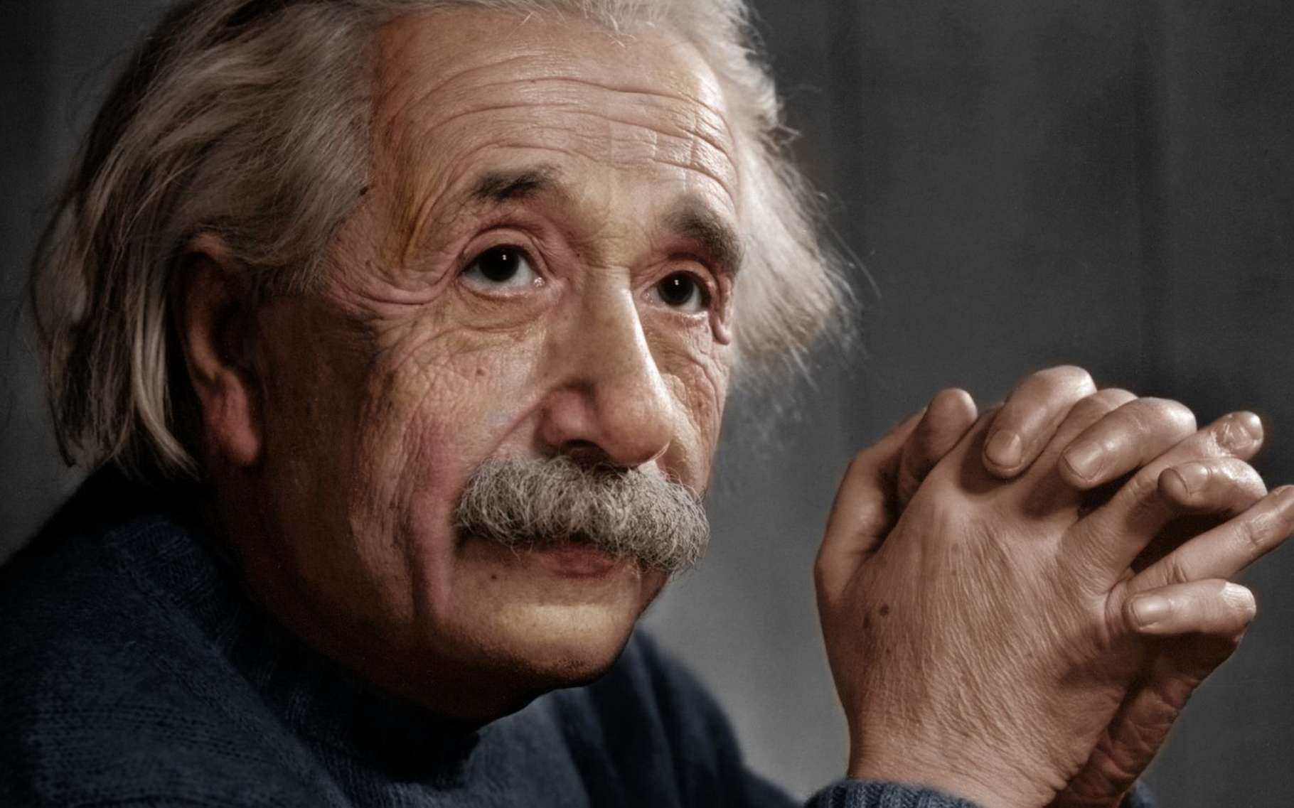 Qui a volé le cerveau d'Einstein ?