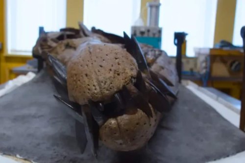 This 'sea monster' rivaled the T. rex: Its fossilized skull is a world-first discovery - Futura-Sciences
