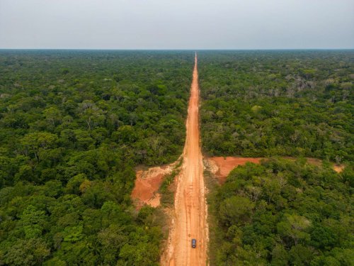 Tout va bien : une autoroute coupe en deux l’Amazonie pour accueillir la COP30 !