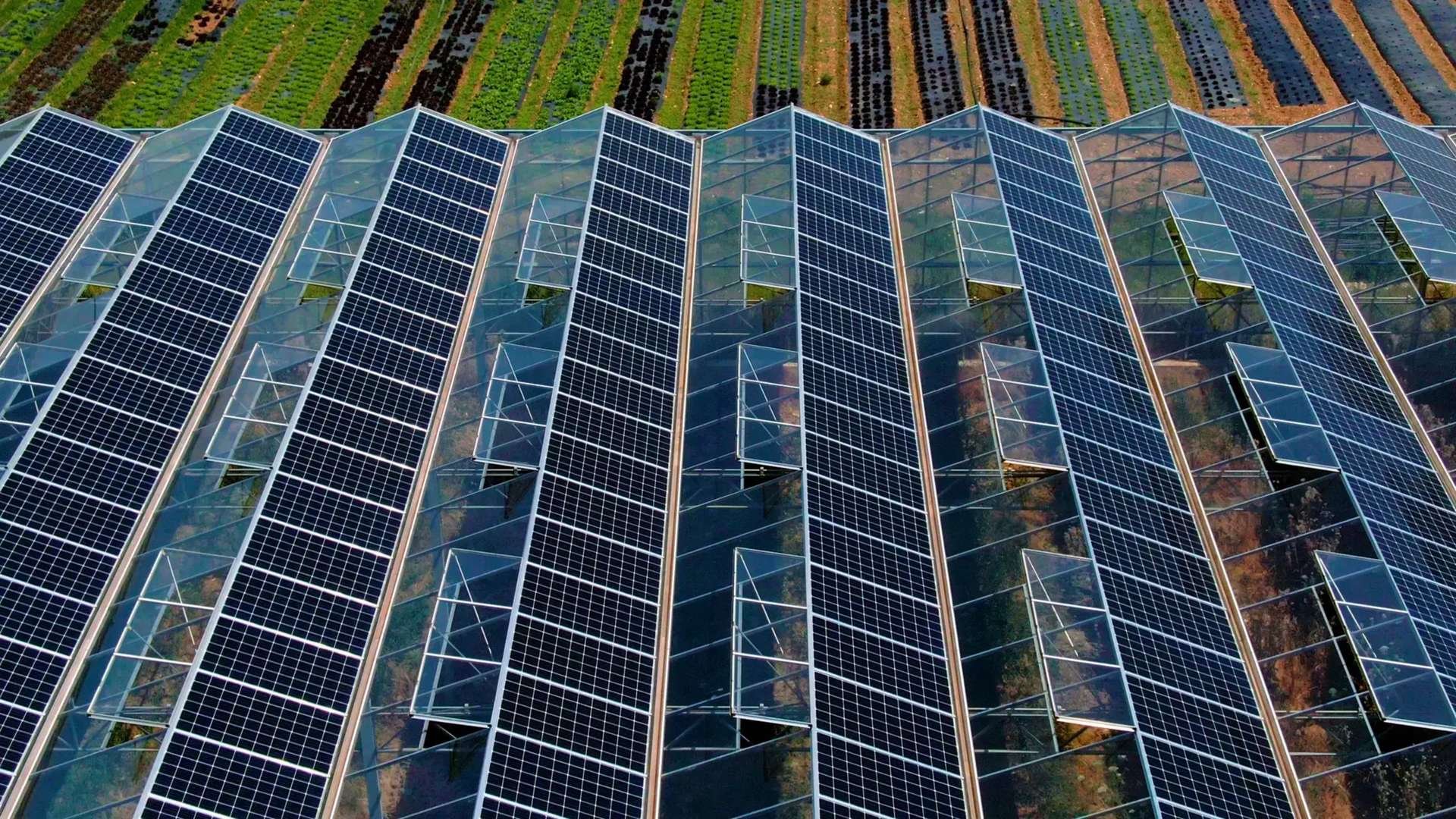 Serre photovoltaïque : pourquoi est-ce la solution idéale pour les agriculteurs ?