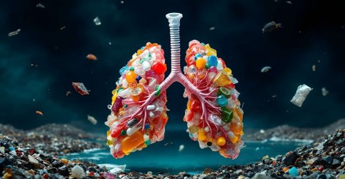 « J’ai été vraiment surpris par ce que nous avons découvert » : le corps ne gère pas les microplastiques comme prévu