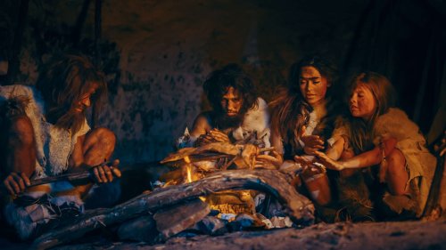 Les préhistoriques cuisinaient leurs repas !
