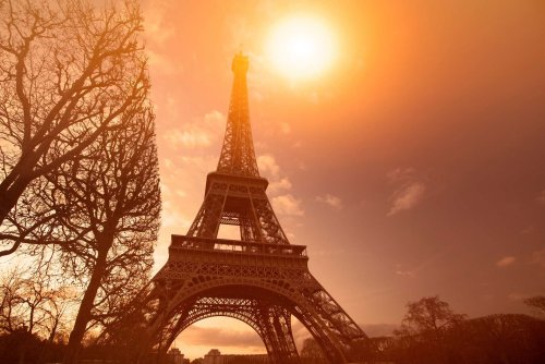 +4 °C d'ici 2100 en France : les mesures que prendraient des scientifiques s’ils étaient ministres