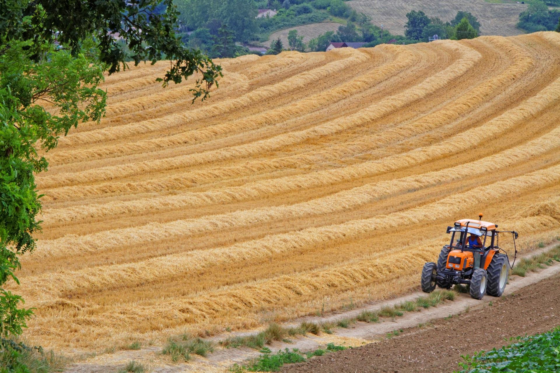 Un choc se prépare : la valeur des terres agricoles va baisser de 60 % dans ces régions au cours des prochaines décennies