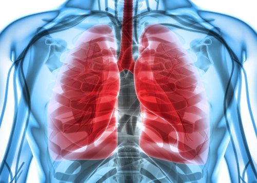 Ce médicament réduit de 50 % le risque de mourir d'un cancer du poumon
