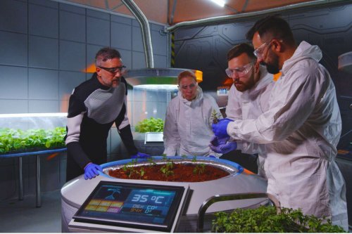 Et si cultiver nos aliments dans l’espace devenait bientôt une réalité ?