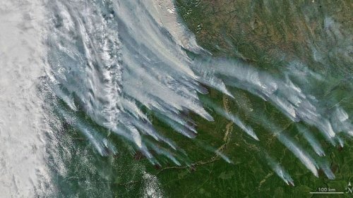 Siberian wildfires double greenhouse gas emission record: This is how they look from space.