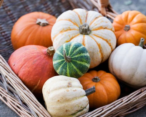 How to prepare for fall in your garden