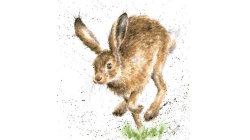 Paint a mischievous hare in watercolour