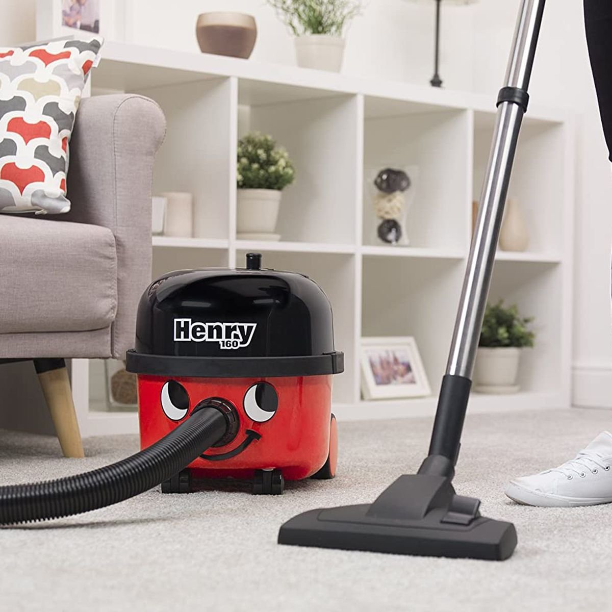 Why do professional cleaners use Henry vacuums? We tested one to find out