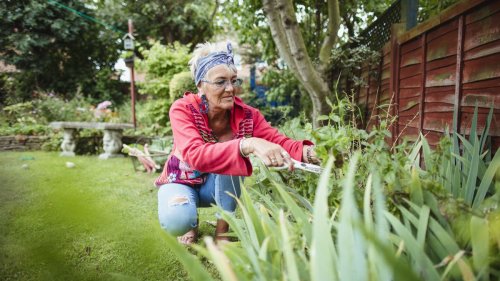 How to Thrive in Retirement: Balancing the Tradeoffs
