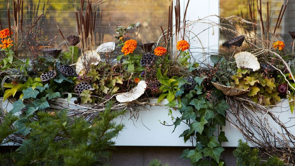 Fall window box ideas: 10 stylish looks that celebrate autumn
