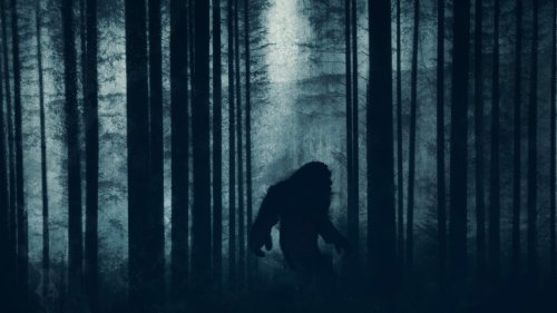 Revealing the Identities of Creatures Most Likely Behind Bigfoot Sightings