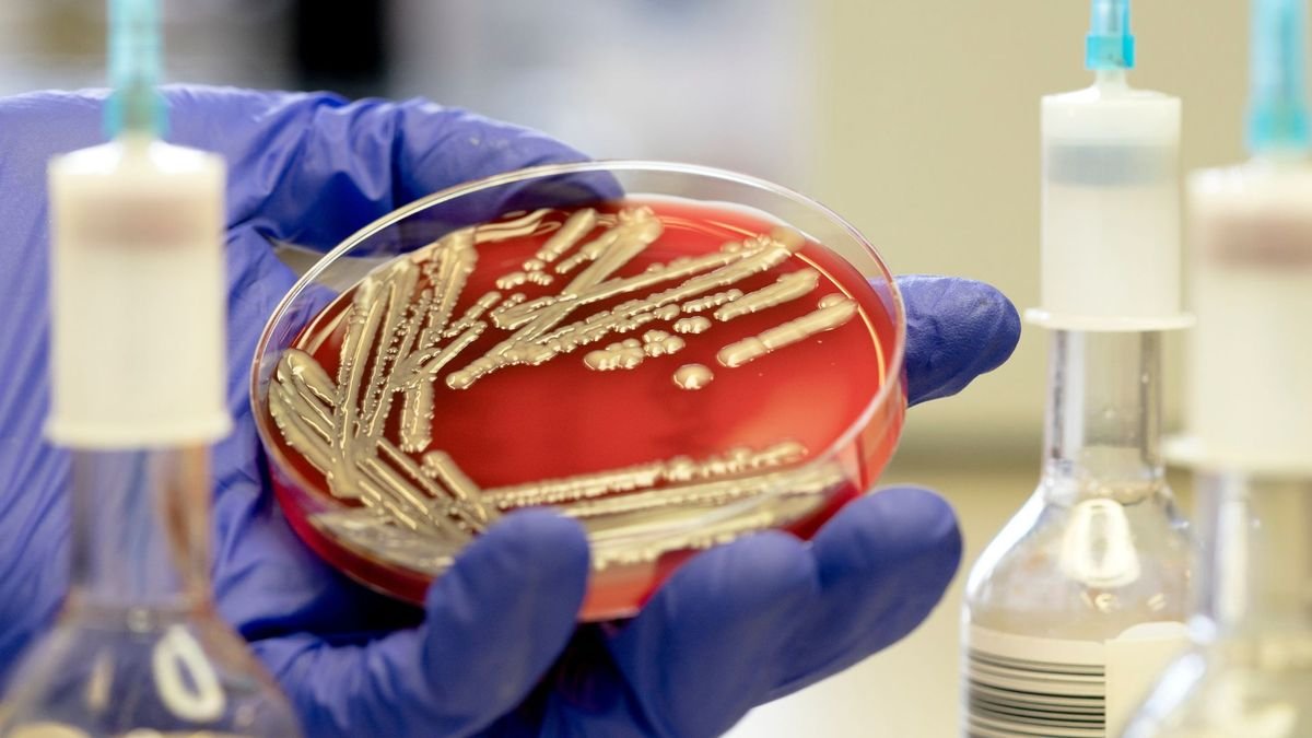 Antidepressants could fuel the rise of superbugs, lab dish study suggests