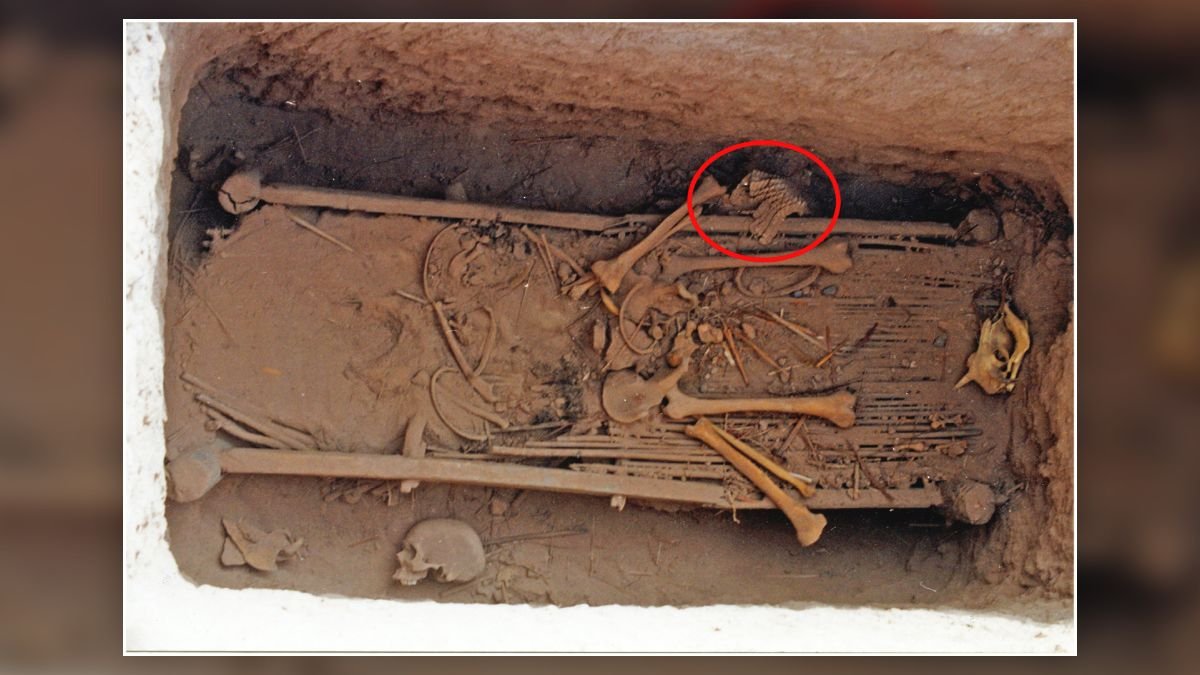 Rare 'bionic' armor discovered in 2,500-year-old China burial