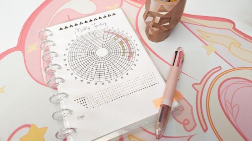 I've tried a million planners, but I've actually stuck with this one specifically designed for ADHD