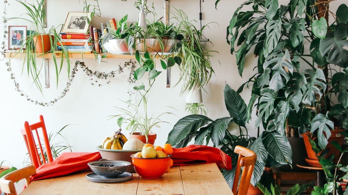 16 ways to turn your home into a plant-filled haven