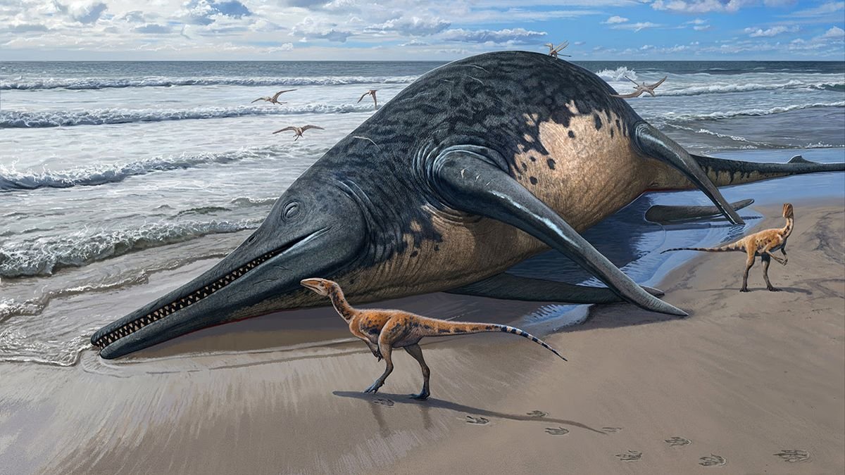 Giant, 82-foot lizard fish discovered on UK beach could be largest marine reptile ever found
