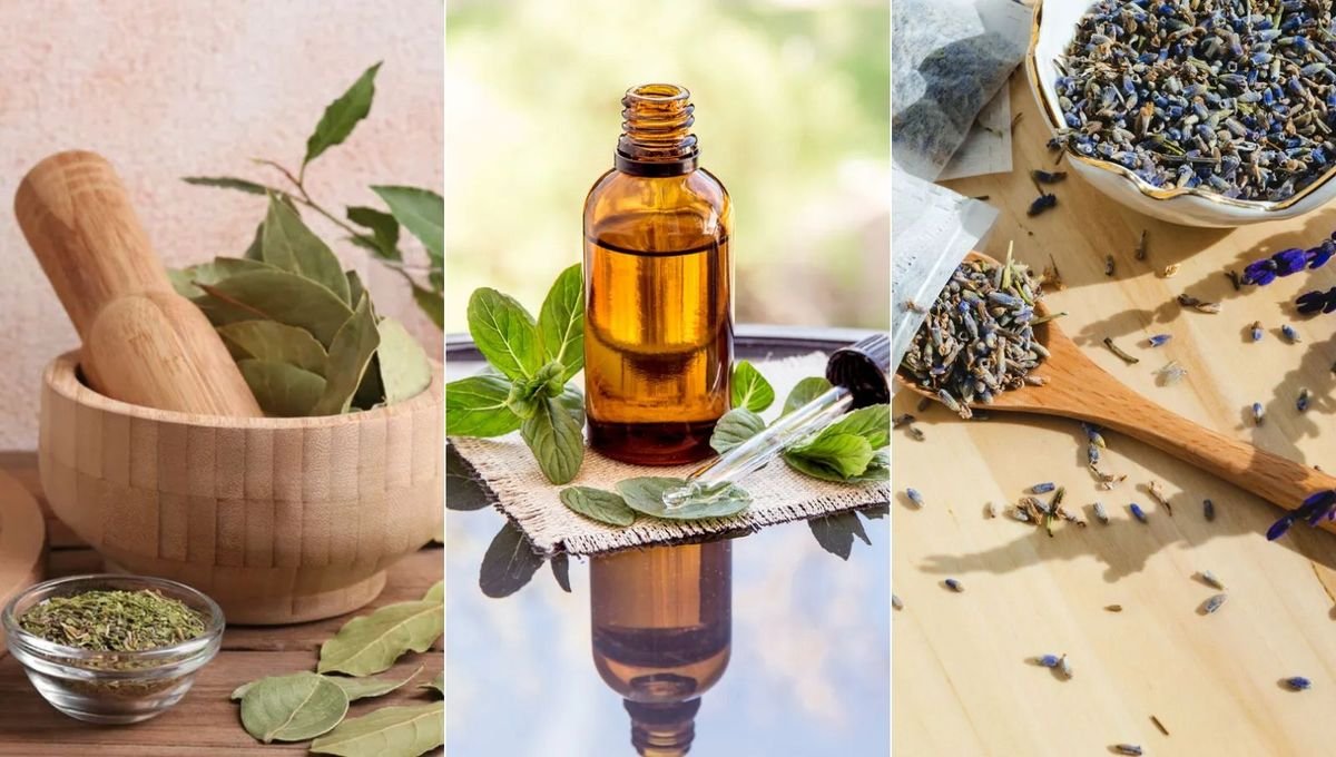 11 nice-smelling scents garden pests hate – and how to use them