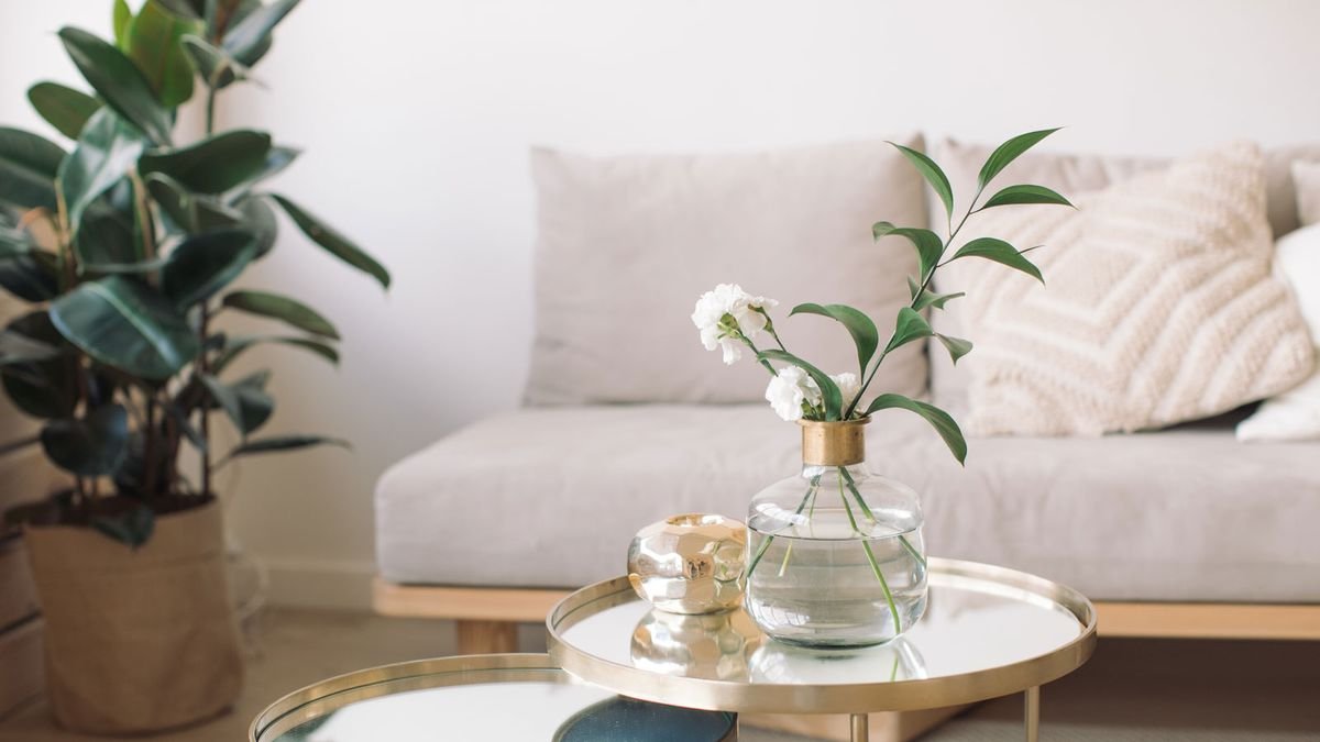 Bring the jungle inside with our guide to house plants - cover