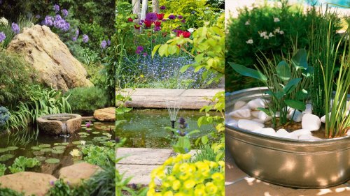 How to build a pond – a step by step expert guide