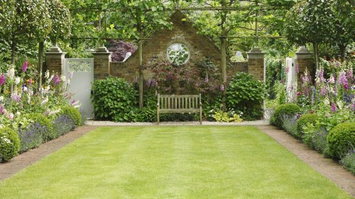 How to grow grass in hot, dry weather – 5 steps to green grass, even in heatwaves