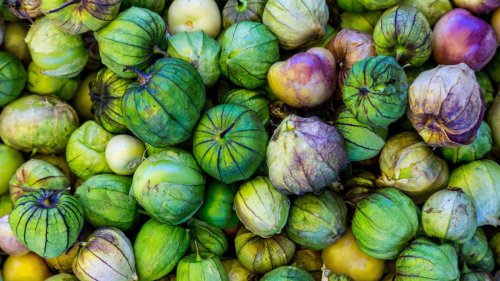 Vegetables to plant in February: 10 crops to sow and grow