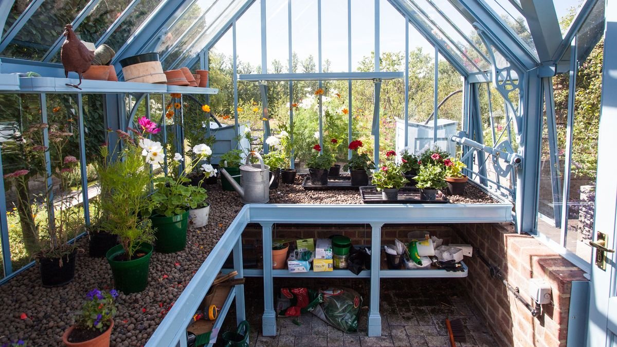 Greenhouse shelving ideas: 10 looks for displaying your plants in style