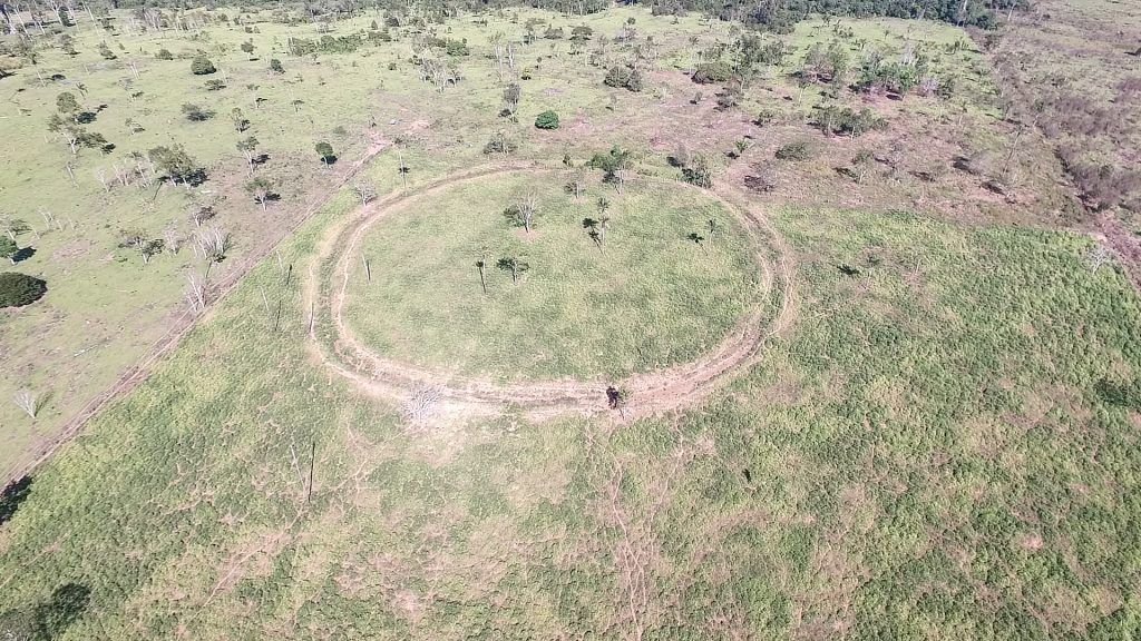 Mysterious Geoglyphs Reveal Amazon Was Densely Populated Before Columbus