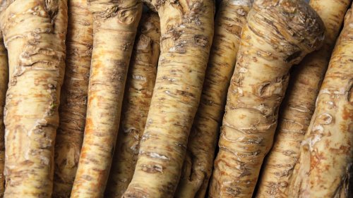 How to grow horseradish – expert tips on growing this spicy root