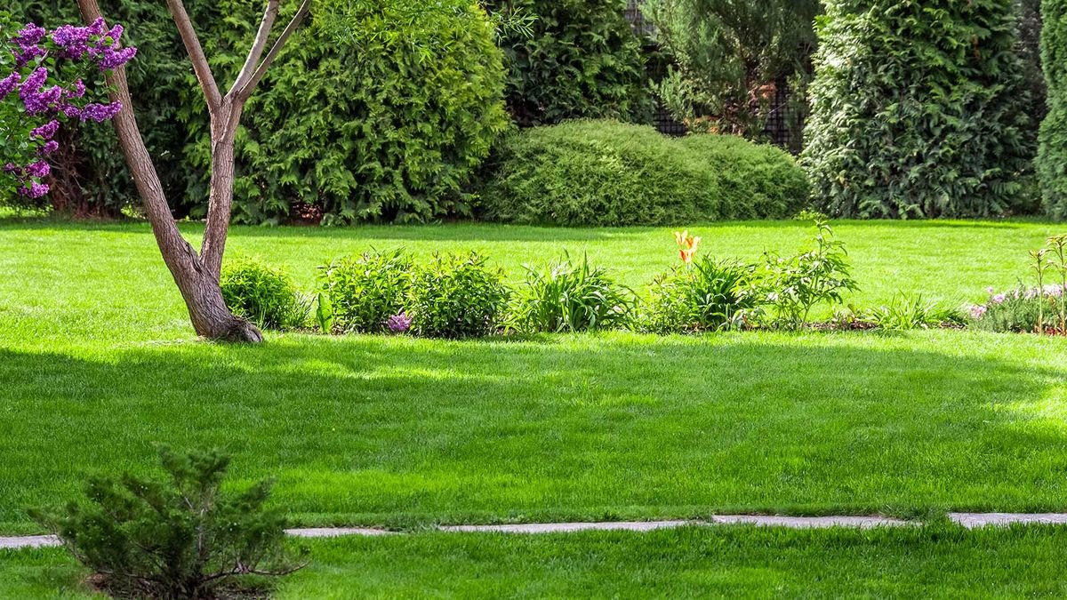 5 lawn care mistakes to avoid – as revealed by the experts