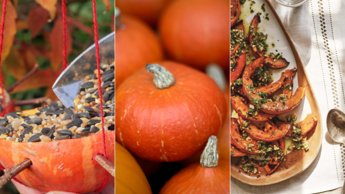 What to do with leftover Halloween pumpkins – 5 zero-waste options