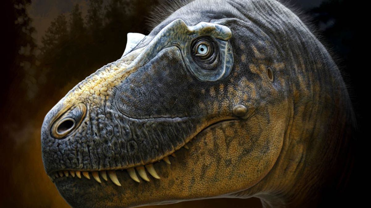 'Frightful' never-before-seen tyrannosaur might be the 'missing link' in T. rex evolution