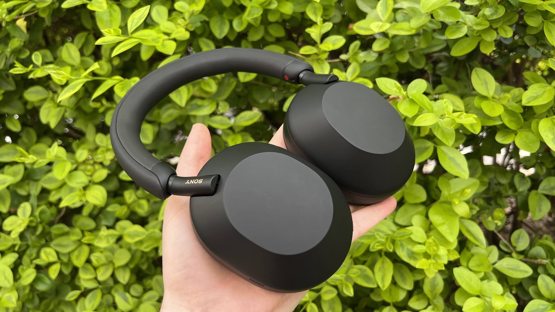 Should you buy the Sony WH-1000XM5 headphones in 2025?