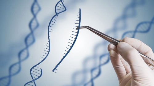 CRISPR Therapy and Its Revolutionary Impact on Healthcare, Explained
