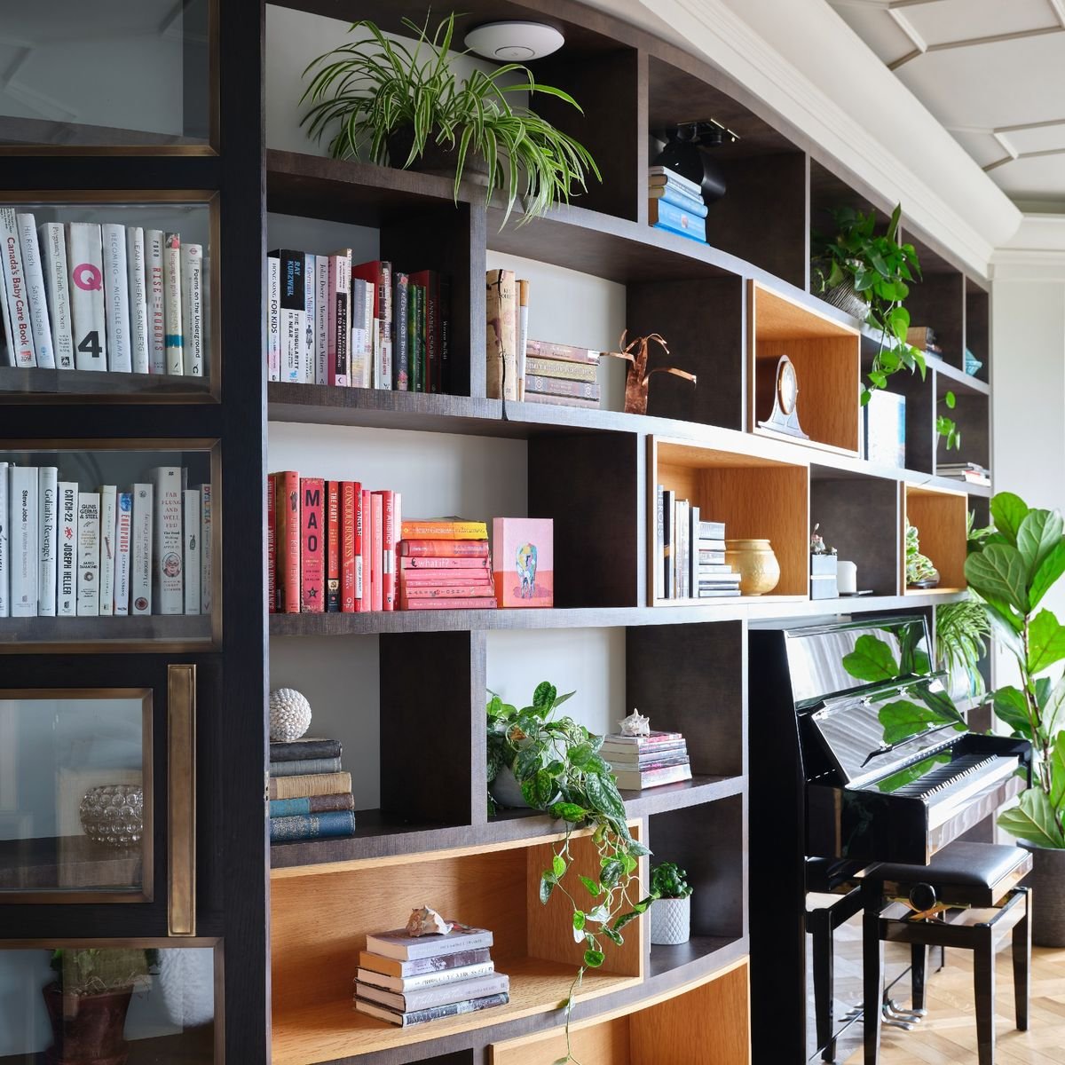 7 of the best low-light houseplants that will thrive in shady nooks and corners in the home