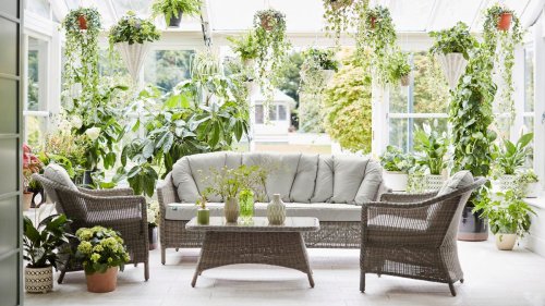 Indoor plant ideas: 25 ways to create stunning house plant displays