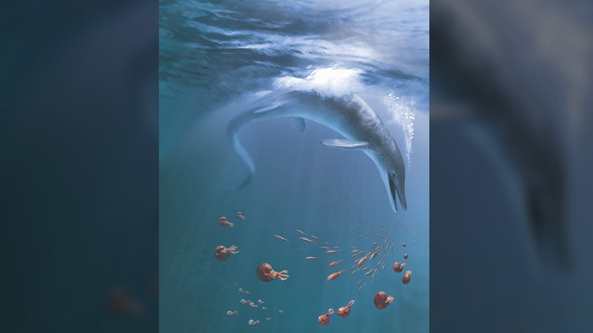 55-foot-long Triassic sea monster discovered in Nevada