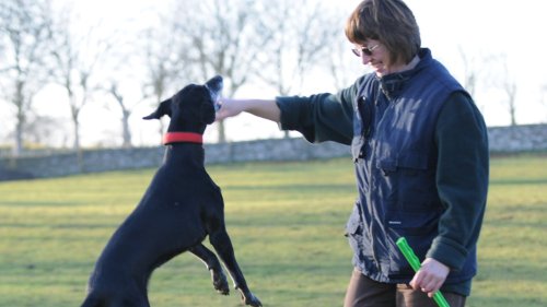 I’m a dog behaviorist and these are my top tips for ‘bulletproof’ reliable recall
