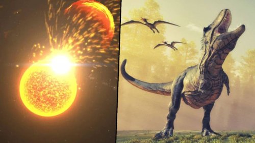 Science news this week: The spark of life in space and 1.7 billion T. rexes
