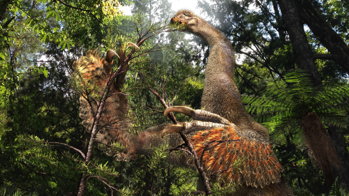 Magazine - DINOSAURS