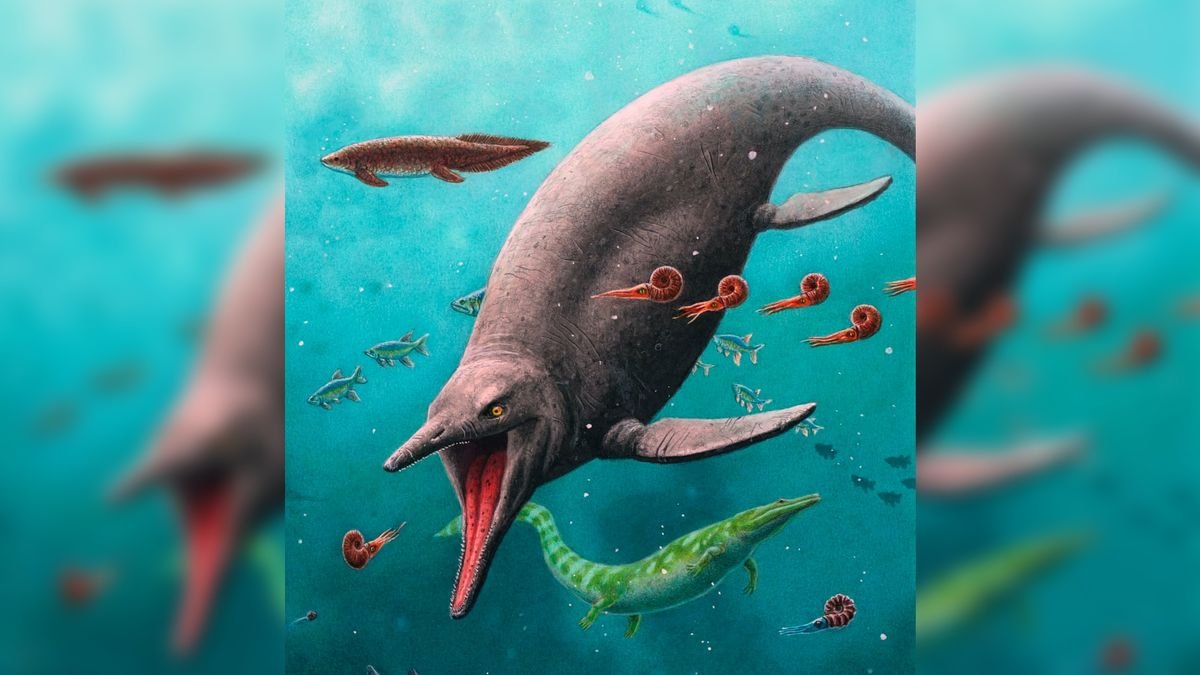 Oldest 'fish-lizard' fossils ever found suggest these sea monsters survived the 'Great Dying'
