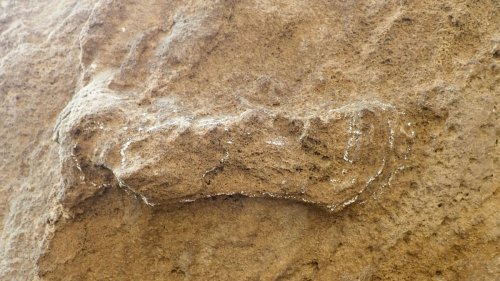 153,000-year-old footprints from South Africa are the oldest Homo sapiens tracks on record