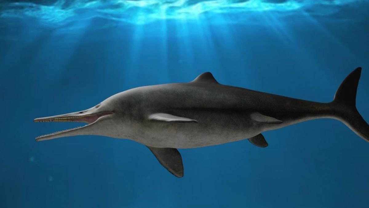 This 130 million-year-old ichthyosaur was a 'hypercarnivore' with knife-like teeth