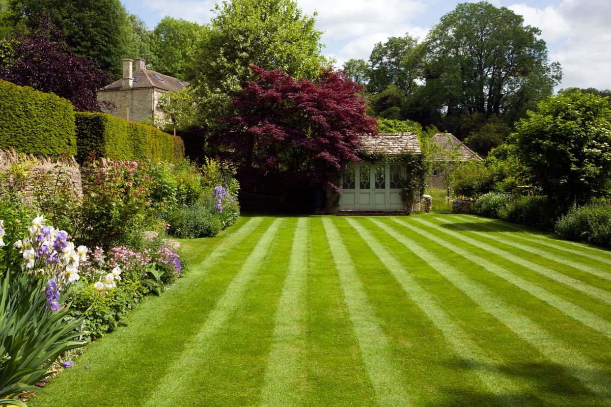 5 clues your lawn is giving you that it's in trouble – and how to fix them, fast