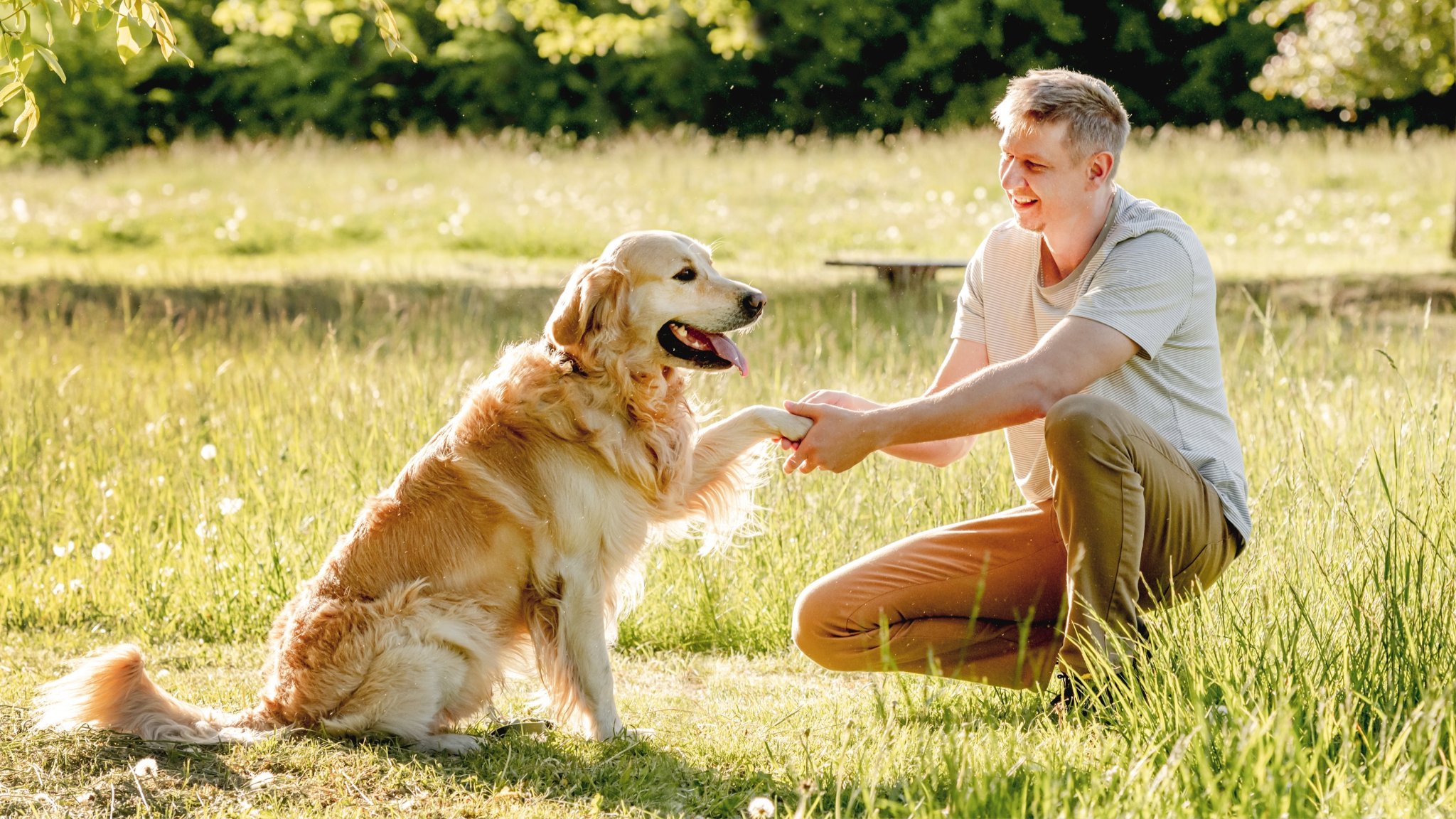 Want to improve your dog’s behavior? Trainer shares the secret, and it wasn’t at all what we were expecting!