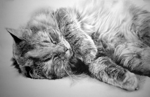 24 outrageously realistic pencil drawings
