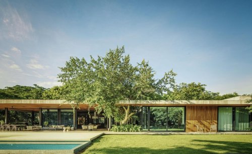 This Mérida house is designed to be taken over by nature