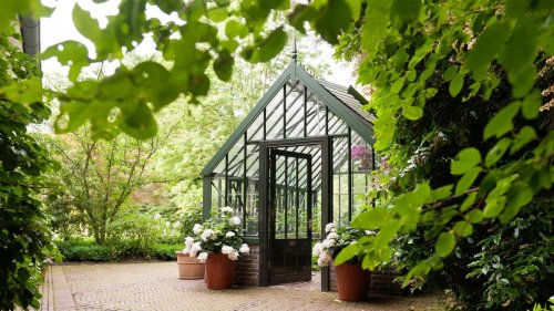 How to use a greenhouse in winter – 10 ways to make the most of yours